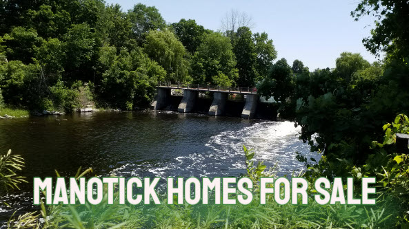 Manotick Homes for Sale